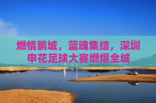 燃情鹏城，蓝魂集结，深圳申花足球大赛燃爆全城