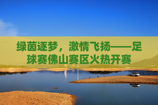 绿茵逐梦，激情飞扬——足球赛佛山赛区火热开赛