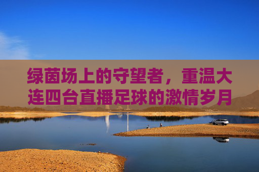 绿茵场上的守望者,重温大连四台直播足球的激情岁月