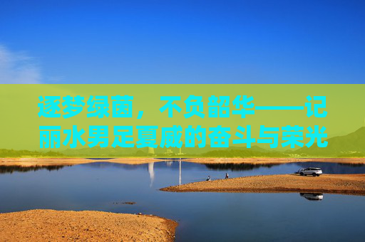 逐梦绿茵，不负韶华——记丽水男足夏威的奋斗与荣光