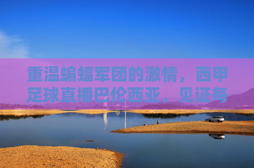 重温蝙蝠军团的激情,西甲足球直播巴伦西亚,见证每一场荣耀时刻