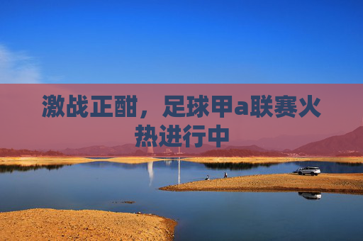 激战正酣,足球甲a联赛火热进行中