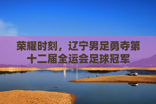 荣耀时刻,辽宁男足勇夺第十二届全运会足球冠军