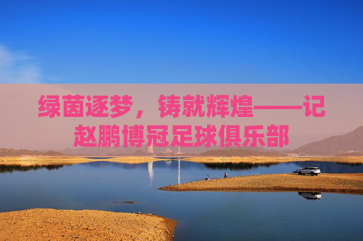 绿茵逐梦,铸就辉煌——记赵鹏博冠足球俱乐部