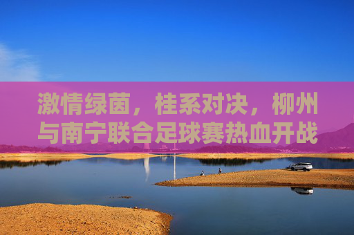 激情绿茵,桂系对决,柳州与南宁联合足球赛热血开战