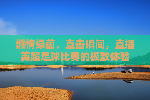 燃情绿茵,直击瞬间,直播英超足球比赛的极致体验