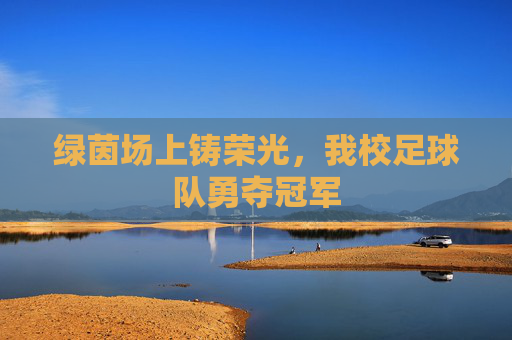 绿茵场上铸荣光,我校足球队勇夺冠军