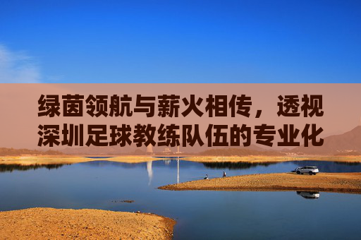 绿茵领航与薪火相传,透视深圳足球教练队伍的专业化进阶