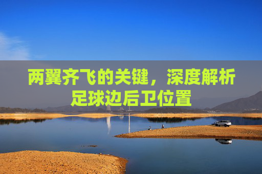 两翼齐飞的关键,深度解析足球边后卫位置