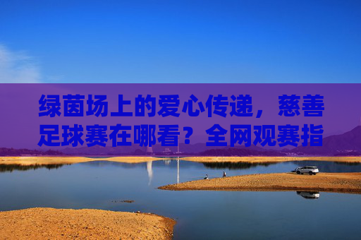 绿茵场上的爱心传递,慈善足球赛在哪看?全网观赛指南