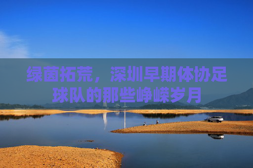 绿茵拓荒,深圳早期体协足球队的那些峥嵘岁月