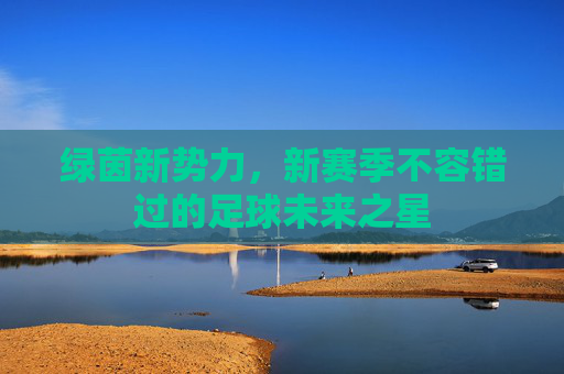 绿茵新势力,新赛季不容错过的足球未来之星
