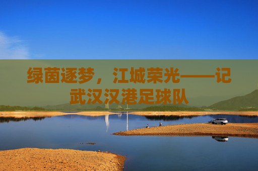 绿茵逐梦,江城荣光——记武汉汉港足球队