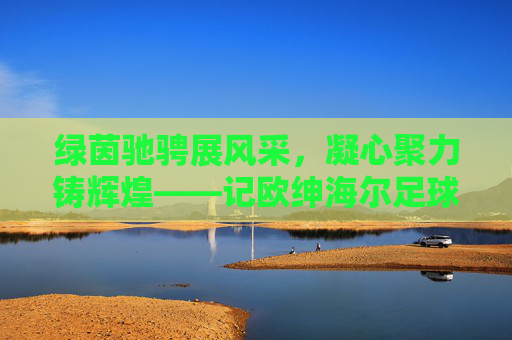 绿茵驰骋展风采,凝心聚力铸辉煌——记欧绅海尔足球队的拼搏精神