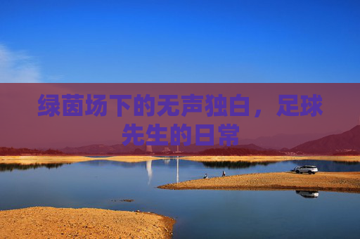 绿茵场下的无声独白,足球先生的日常