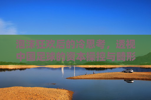 泡沫狂欢后的冷思考,透视中国足球的资本操控与畸形繁荣