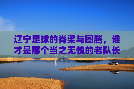 辽宁足球的脊梁与图腾,谁才是那个当之无愧的老队长?