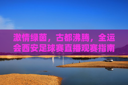 激情绿茵,古都沸腾,全运会西安足球赛直播观赛指南