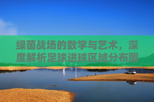 绿茵战场的数学与艺术,深度解析足球进球区域分布图