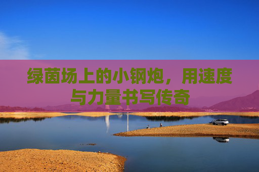 绿茵场上的小钢炮,用速度与力量书写传奇