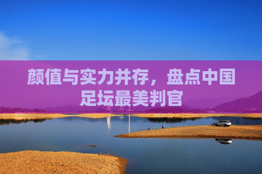 颜值与实力并存,盘点中国足坛最美判官