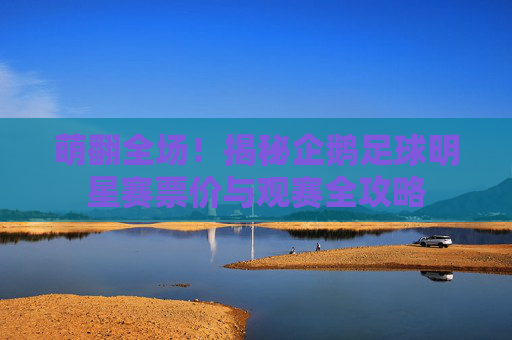 萌翻全场!揭秘企鹅足球明星赛票价与观赛全攻略