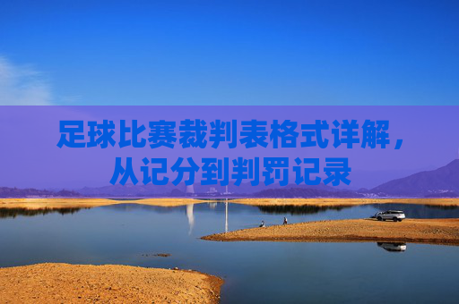 足球比赛裁判表格式详解,从记分到判罚记录