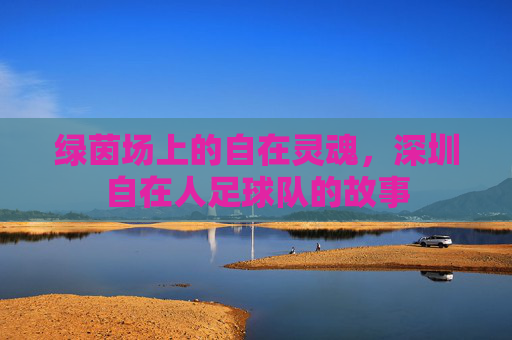 绿茵场上的自在灵魂,深圳自在人足球队的故事