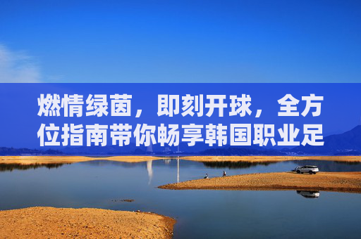燃情绿茵,即刻开球,全方位指南带你畅享韩国职业足球联赛直播