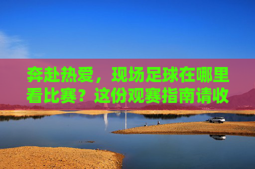 奔赴热爱,现场足球在哪里看比赛?这份观赛指南请收好