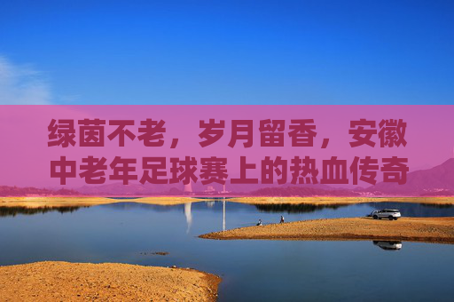 绿茵不老,岁月留香,安徽中老年足球赛上的热血传奇