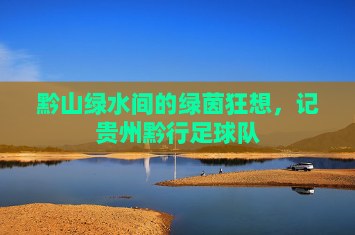 黔山绿水间的绿茵狂想,记贵州黔行足球队