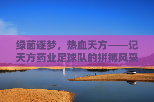 绿茵逐梦,热血天方——记天方药业足球队的拼搏风采