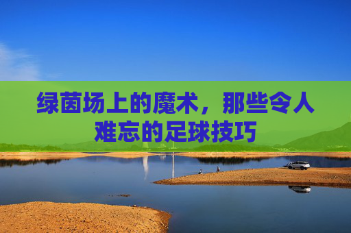 绿茵场上的魔术,那些令人难忘的足球技巧