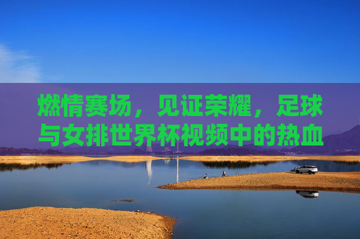 燃情赛场,见证荣耀,足球与女排世界杯视频中的热血与力量
