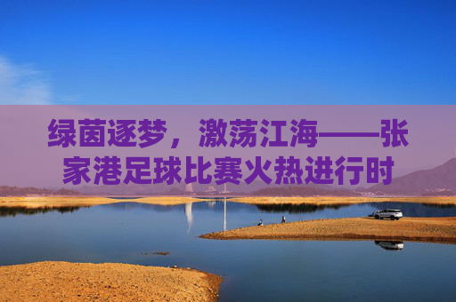 绿茵逐梦,激荡江海——张家港足球比赛火热进行时