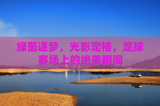 绿茵逐梦,光影定格,足球赛场上的绝美瞬间