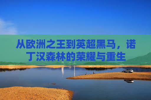 从欧洲之王到英超黑马,诺丁汉森林的荣耀与重生