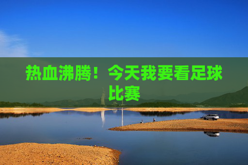 热血沸腾!今天我要看足球比赛