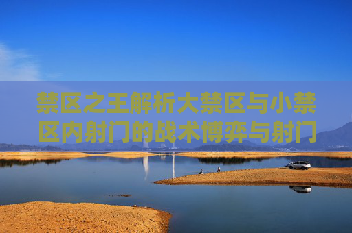 禁区之王解析大禁区与小禁区内射门的战术博弈与射门艺术