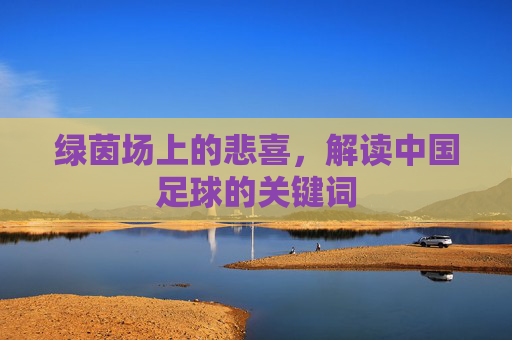 绿茵场上的悲喜,解读中国足球的关键词