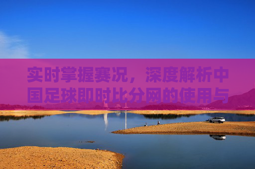 实时掌握赛况,深度解析中国足球即时比分网的使用与价值