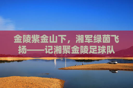 金陵紫金山下,湘军绿茵飞扬——记湘聚金陵足球队