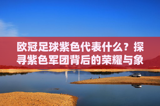 欧冠足球紫色代表什么?探寻紫色军团背后的荣耀与象征
