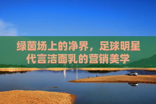 绿茵场上的净界,足球明星代言洁面乳的营销美学