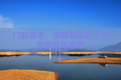门前杀手,揭秘足球史上点球数量排名榜