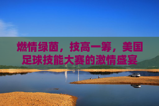 燃情绿茵,技高一筹,美国足球技能大赛的激情盛宴