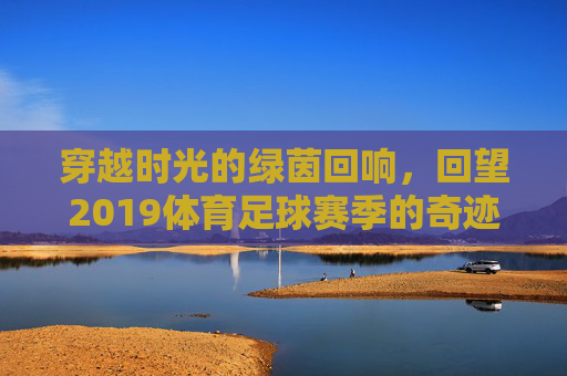 穿越时光的绿茵回响,回望2019体育足球赛季的奇迹与加冕