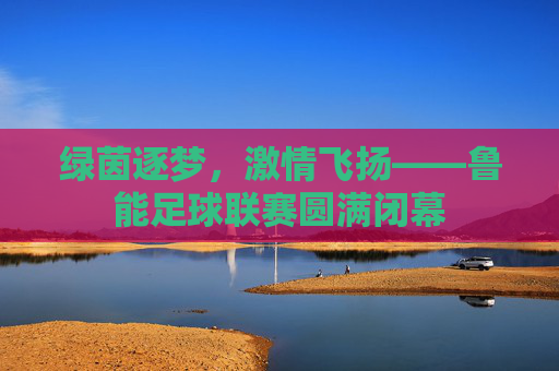 绿茵逐梦,激情飞扬——鲁能足球联赛圆满闭幕