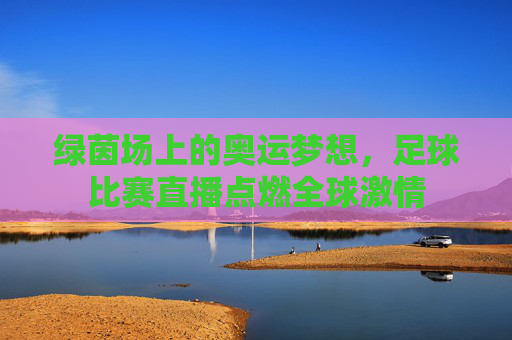 绿茵场上的奥运梦想,足球比赛直播点燃全球激情